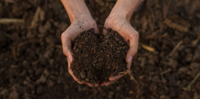 compre preparare l'orto per la semina