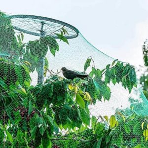reti anti uccello protezione alberi da frutto