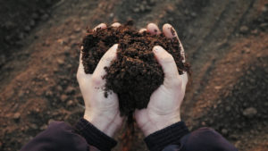 Compostaggio Domestico