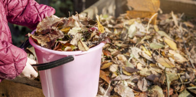 contenitore per compost