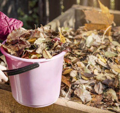 contenitore per compost