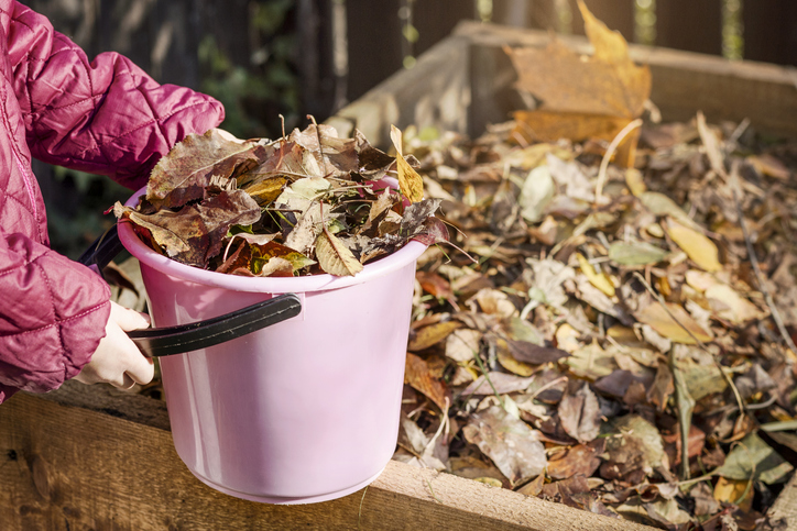 contenitore per compost