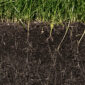 Sezione del suolo con radici visibili e prato verde in superficie, esempio di terreno fertile e ricco di microbioma.