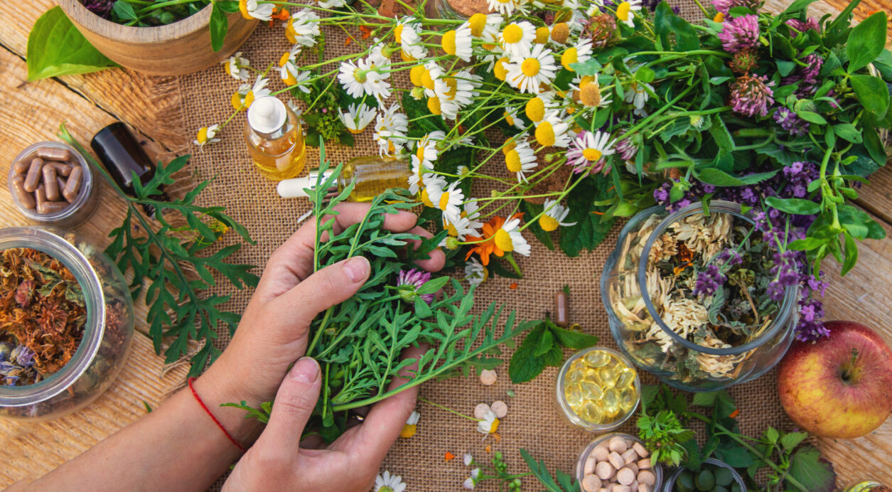 Mani che tengono erbe officinali fresche su un tavolo con fiori, capsule, oli e rimedi naturali.