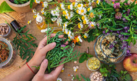 Mani che tengono erbe officinali fresche su un tavolo con fiori, capsule, oli e rimedi naturali.