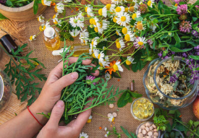 Mani che tengono erbe officinali fresche su un tavolo con fiori, capsule, oli e rimedi naturali.