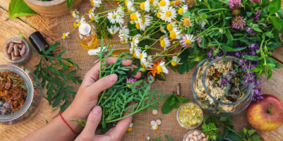 Mani che tengono erbe officinali fresche su un tavolo con fiori, capsule, oli e rimedi naturali.