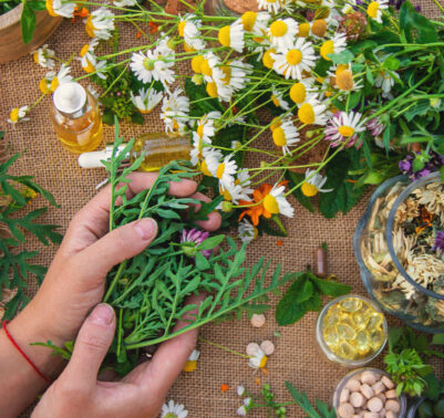 Mani che tengono erbe officinali fresche su un tavolo con fiori, capsule, oli e rimedi naturali.