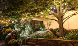 Giardino fiorito illuminato da luci decorative serali, con alberi, aiuole colorate e atmosfera accogliente.