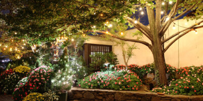 Giardino fiorito illuminato da luci decorative serali, con alberi, aiuole colorate e atmosfera accogliente.