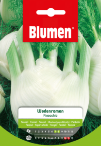semi di finocchio estivo per la coltivazione Blumen