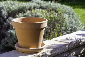 Vaso in terracotta umidità