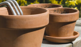 Vaso in terracotta umidità
