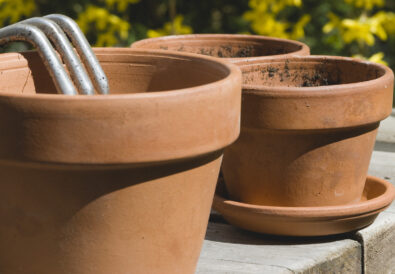 Vaso in terracotta umidità