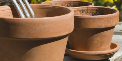 Vaso in terracotta umidità