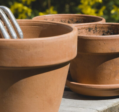 Vaso in terracotta umidità