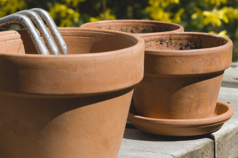 Vaso in terracotta umidità