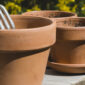 Vaso in terracotta umidità