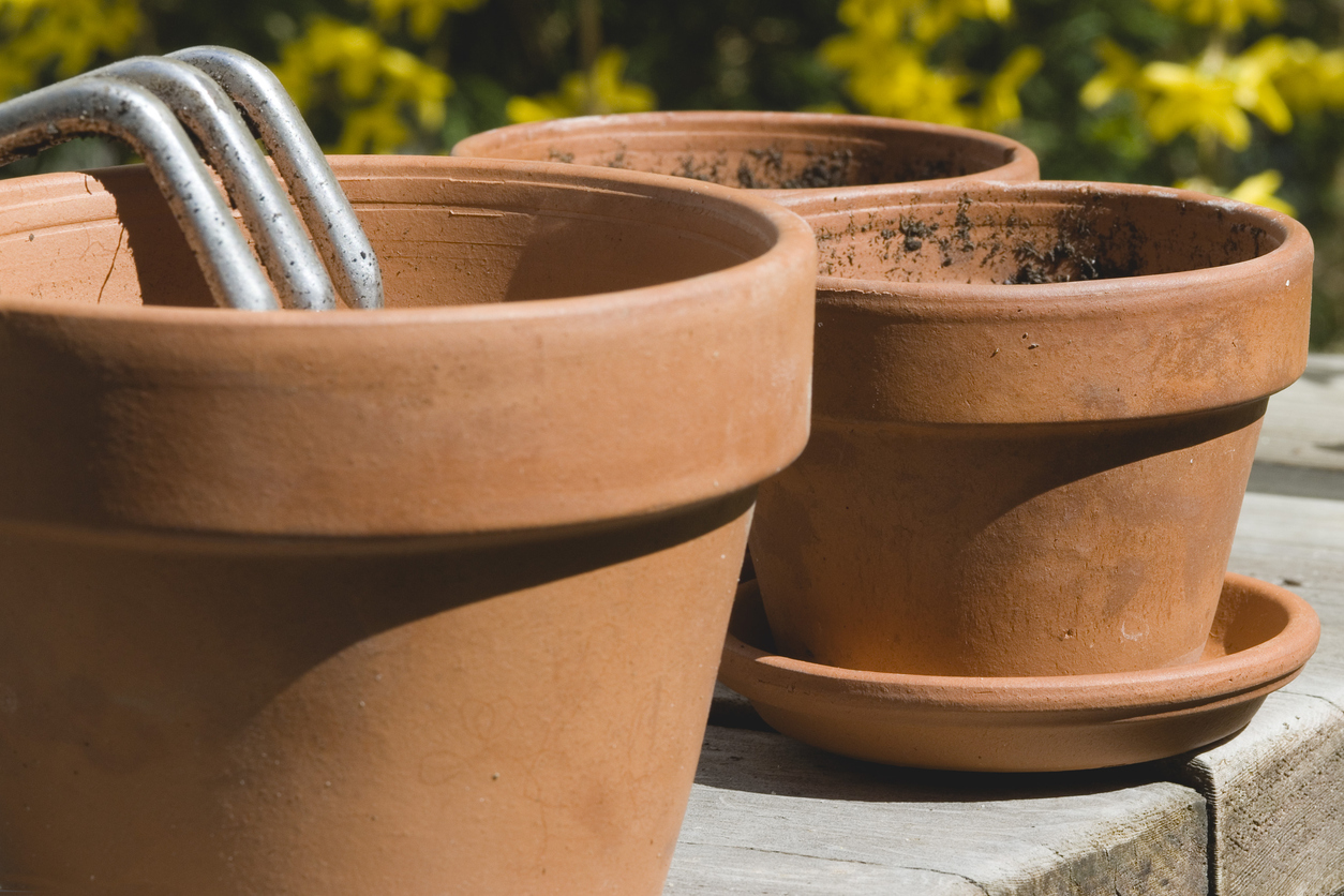 Vaso in terracotta umidità