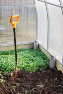 Preparare il terreno per il sovescio