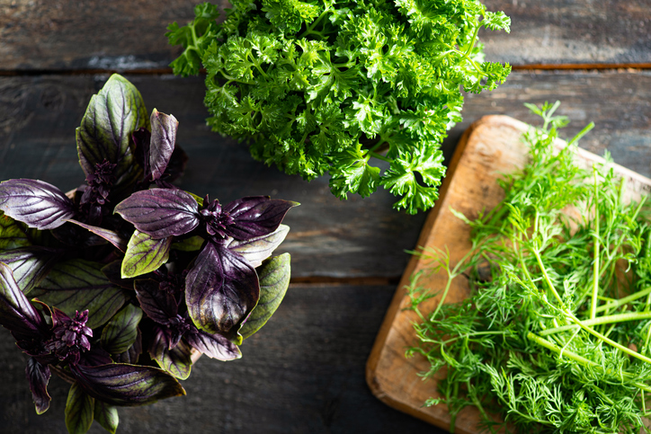 Prezzemolo, basilico rosso, coriandolo: piccoli gesti, grandi benefici