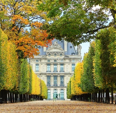 Avenue of trees in autumn leading to the Musee du Louvre in Paris France