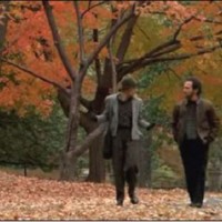 Harry ti presento sally Harry-ti-presento-sally-central park