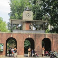 Madagascar-CentralParkzoo-Central Park Madagascar-CentralParkzoo-Central Park