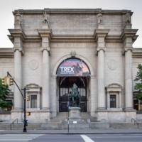 Una notte al museo Una notte al museo - museo storia naturale- central park