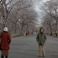 Kramer contro Kramer kramer contro kramer- the mall-central park