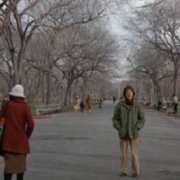 Kramer contro Kramer kramer contro kramer- the mall-central park